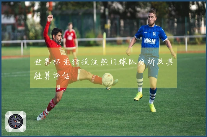 世界杯竞猜投注热门球队分析及其胜算评估