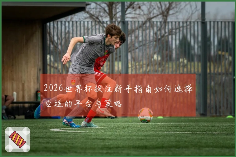 2026世界杯投注新手指南如何选择合适的平台与策略