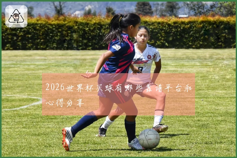 2026世界杯买球有哪些靠谱平台和心得分享
