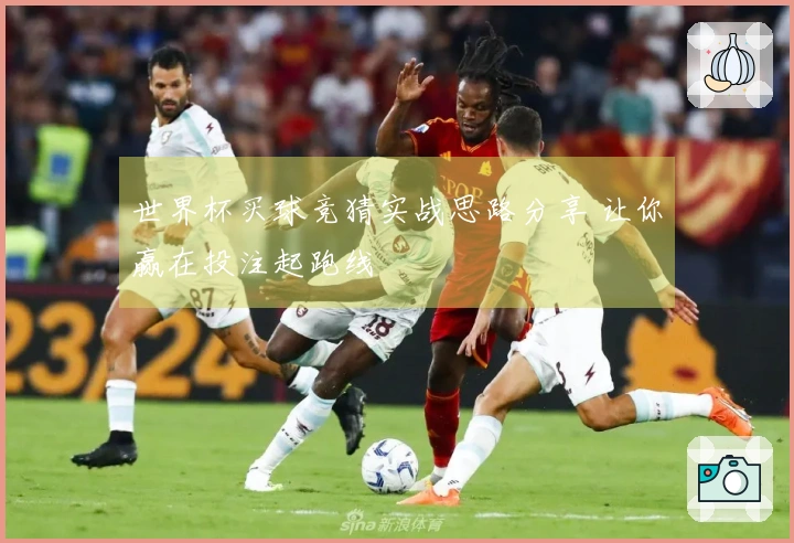 世界杯买球竞猜实战思路分享 让你赢在投注起跑线