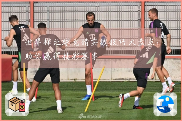 世界杯让球竞猜实战技巧大盘点，助你赢得精彩赛季