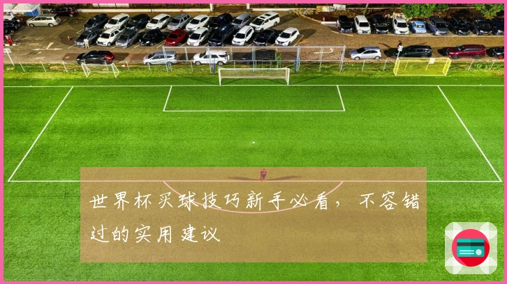 世界杯买球技巧新手必看，不容错过的实用建议