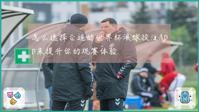 怎么选择合适的世界杯滚球投注App来提升你的观赛体验